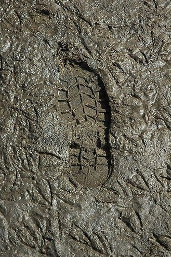 A cover of "ROCK E STONE" cluster. The owner is fra.k. The cluster consists of 28 elements.