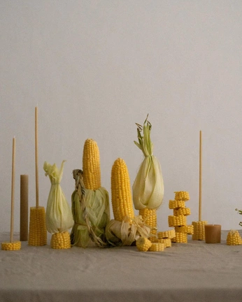 A cover of "Bắp ngô" cluster. The owner is julesqu. The cluster consists of 22 elements.