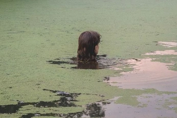 A cover of "district 4" cluster. The owner is hubbafruity. The cluster consists of 10 elements.