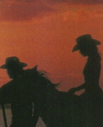 A cover of "cowboy ocs" cluster. The owner is persikapeach. The cluster consists of 1 element.