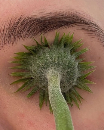 A cover of "ENAEVA.STUDIO" cluster. The owner is enaeva. The cluster consists of 81 elements.