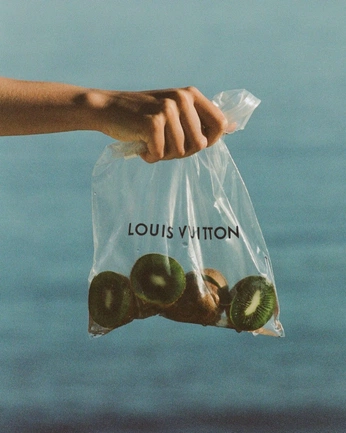 A cover of "Louis Vuitton" cluster. The owner is anastasiaali. The cluster consists of 30 elements.