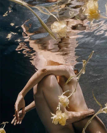 A cover of "Underwater" cluster. The owner is aurelielagoutte. The cluster consists of 2 elements.