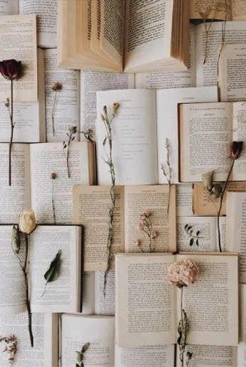 A cover of "Cozy book  aesthetic" cluster. The owner is randezvousme. The cluster consists of 5 elements.