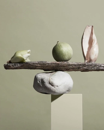 A cover of "still photography." cluster. The owner is marijardim. The cluster consists of 64 elements.