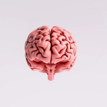 A cover of "references" cluster. The owner is cetiplanets. The cluster consists of 5 elements.