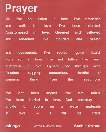 A cover of "typographic poster" cluster. The owner is dominiquedreams. The cluster consists of 5 elements.