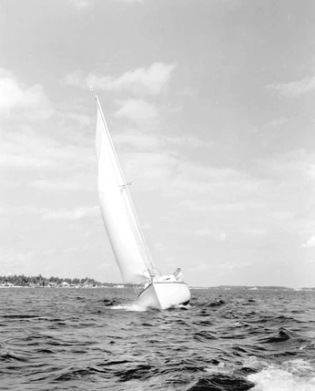 A cover of "west palm" cluster. The owner is doodleshoog. The cluster consists of 10 elements.