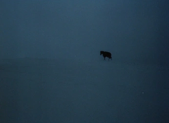 A cover of "MelancholyHill" cluster. The owner is notvladnotbut. The cluster consists of 8 elements.