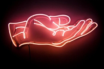 A cover of "trtle collage" cluster. The owner is ferportis21. The cluster consists of 10 elements.