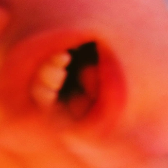 A cover of "MOUTH" cluster. The owner is tayrene. The cluster consists of 61 elements.