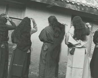 A cover of "asian" cluster. The owner is albaagordillo. The cluster consists of 9 elements.