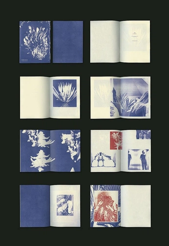 A cover of "zine inspo" cluster. The owner is jessi06. The cluster consists of 24 elements.