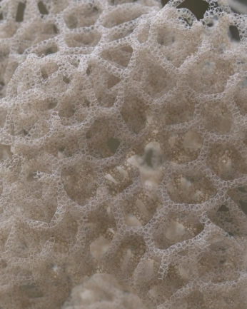 A cover of "impossible touch" cluster. The owner is cumislays. The cluster consists of 36 elements.