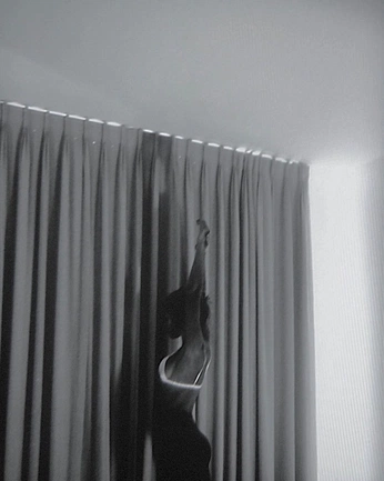 A cover of "Euphoria" cluster. The owner is valantisjpg. The cluster consists of 58 elements.