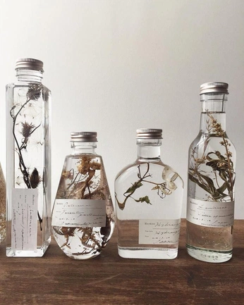 A cover of "Herbier" cluster. The owner is eglantine.boidmt. The cluster consists of 4 elements.