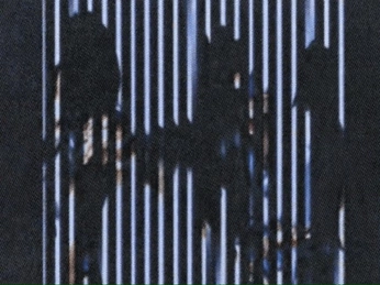 A cover of "📷  Foto_Ref" cluster. The owner is klavs. The cluster consists of 83 elements.