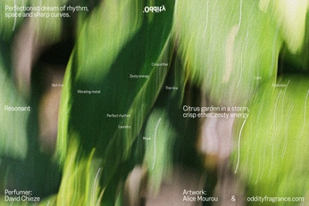 A cover of "Fragrance" cluster. The owner is yaoja02. The cluster consists of 31 elements.