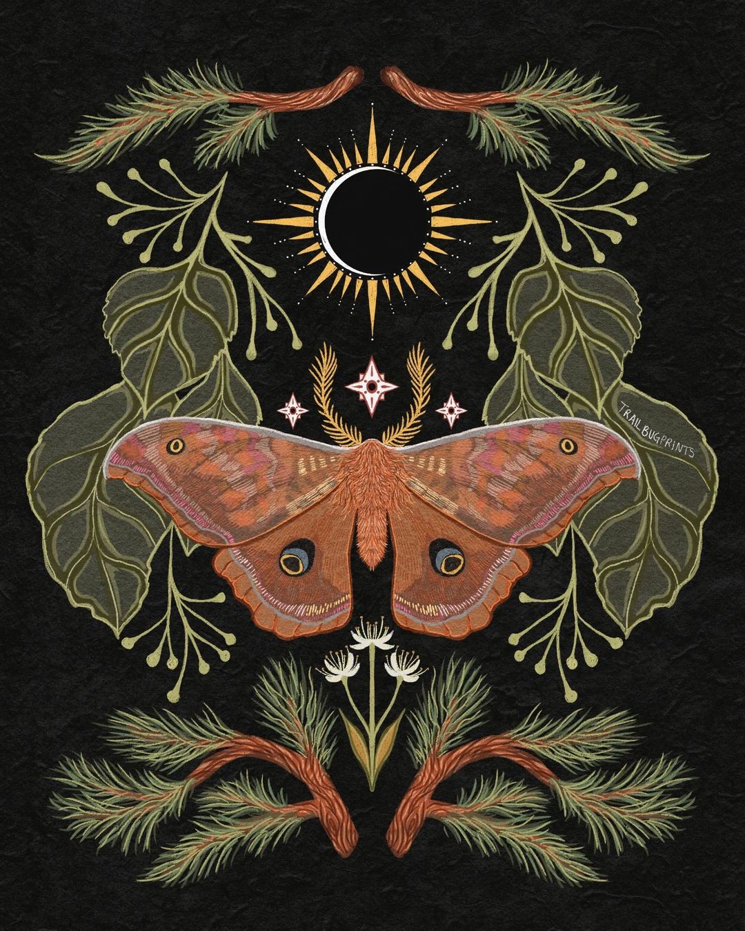 Gypsy moth
