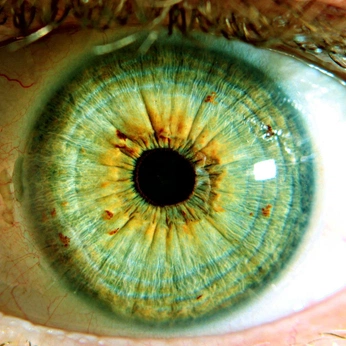 A cover of "everything is earth" cluster. The owner is beastyboy. The cluster consists of 9 elements.