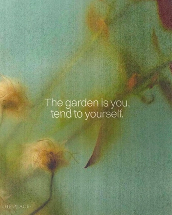 A cover of "iker" cluster. The owner is e.crusells. The cluster consists of 97 elements.