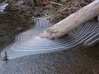 A cover of "VIbes" cluster. The owner is madeleienegury. The cluster consists of 9 elements.