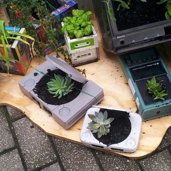 A cover of "Computers and Plants" cluster. The owner is serpants. The cluster consists of 3 elements.