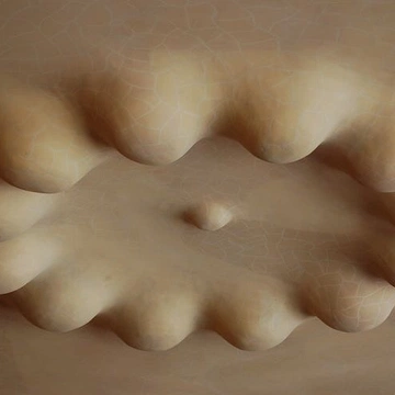 Cover of feel cluster