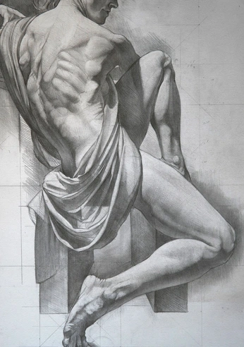 A cover of "Anatomy" cluster. The owner is neocai. The cluster consists of 24 elements.