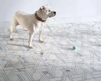 A cover of "Altimetry® Collection" cluster. The owner is newravenna. The cluster consists of 17 elements.