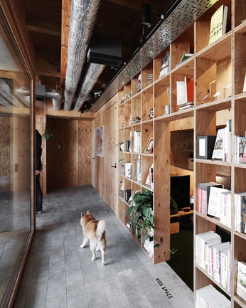 A cover of "Studio" cluster. The owner is steynphotography. The cluster consists of 18 elements.