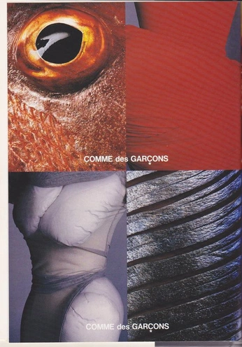 A cover of "fashion advertising" cluster. The owner is gracehartnett. The cluster consists of 66 elements.