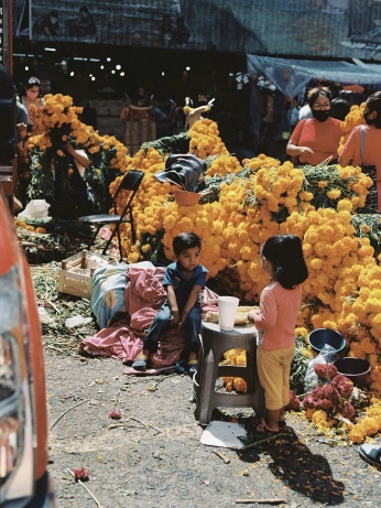 A cover of "Mexico City" cluster. The owner is rasun. The cluster consists of 19 elements.