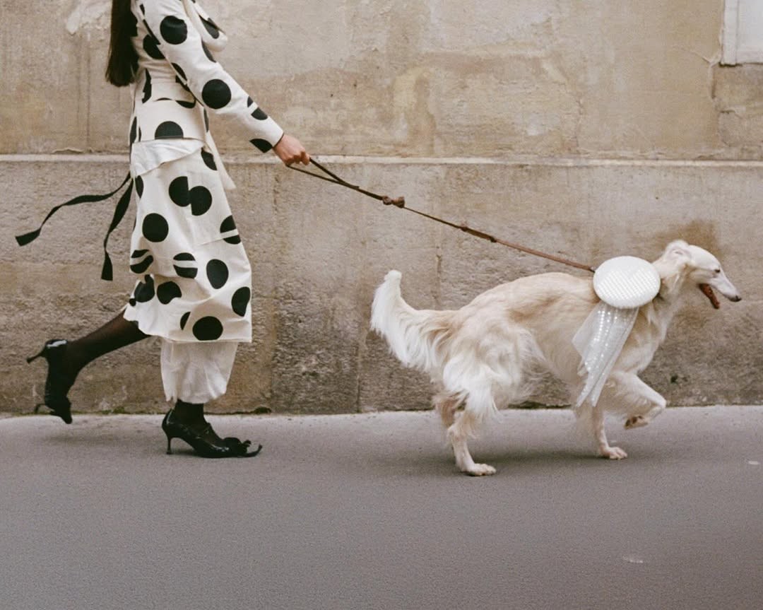 Événement mode, scénographie éditoriale