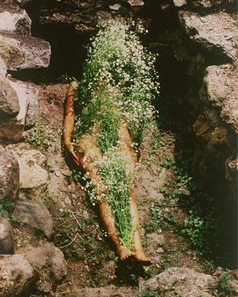 A cover of "Dryad" cluster. The owner is broodmothu. The cluster consists of 7 elements.