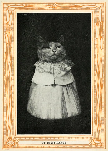 A cover of "cat" cluster. The owner is unvollkommenheit. The cluster consists of 39 elements.