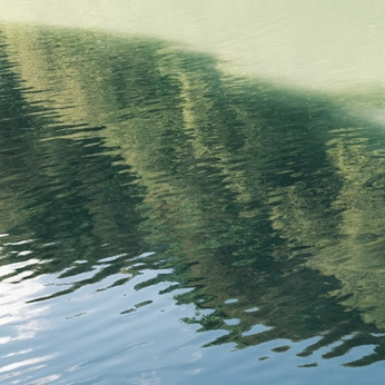 A cover of "LAKE" cluster. The owner is ingridnyc. The cluster consists of 153 elements.