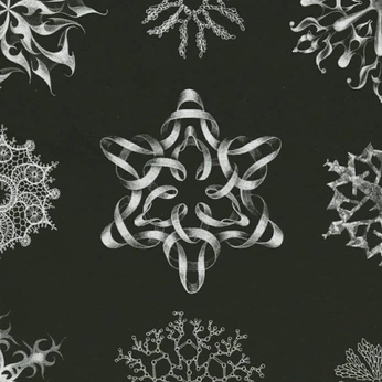 A cover of "isomorphism" cluster. The owner is u. The cluster description is "relations, natural transformations, forms, functors". The cluster consists of 113 elements.