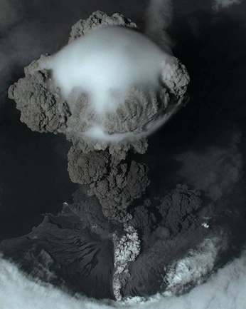 A cover of "Beautifully evil" cluster. The owner is aadichow. The cluster consists of 1 element.