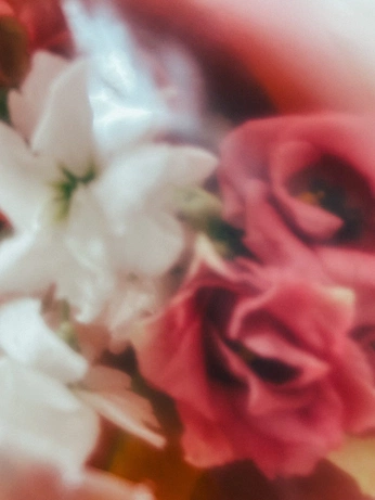 A cover of "Rose Temple" cluster. The owner is saharasaktii. The cluster consists of 5 elements.