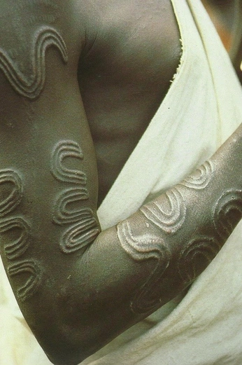 A cover of "Dew Woods" cluster. The owner is unorthodoxyj. The cluster consists of 41 elements.