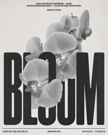 A cover of "design" cluster. The owner is inspirednastya. The cluster consists of 1 element.