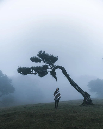 A cover of "25’ Mai visualizer" cluster. The owner is sosophia. The cluster consists of 2 elements.