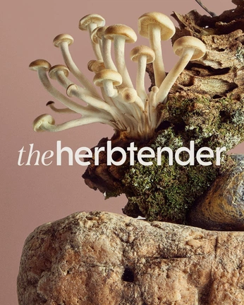 A cover of "SHOOT - SEPTEMBER" cluster. The owner is ccrivero. The cluster consists of 10 elements.