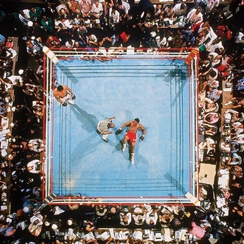 A cover of "EX. Boxing" cluster. The owner is coinmarrk. The cluster consists of 5 elements.