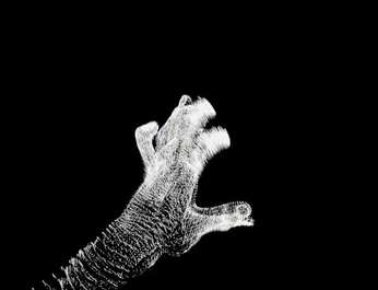 A cover of "Animated" cluster. The owner is trexsg. The cluster consists of 3 elements.