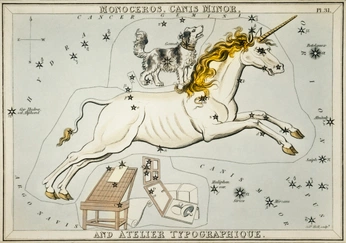 A cover of "Horse" cluster. The owner is chessterfield. The cluster consists of 1 element.