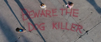 A cover of "Photography" cluster. The owner is ohelle. The cluster consists of 16 elements.