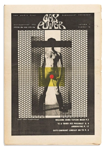 A cover of "gay journal" cluster. The owner is eldull. The cluster consists of 2 elements.