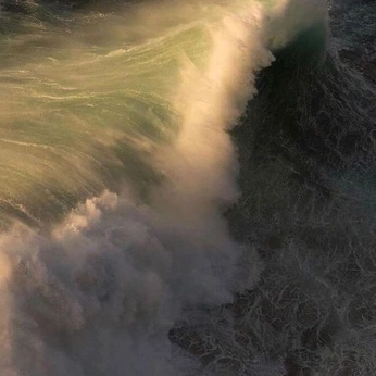 A cover of "🌊🦭🪼" cluster. The owner is pillowpet. The cluster description is "you will never suffer alone while i am here". The cluster consists of 18 elements.